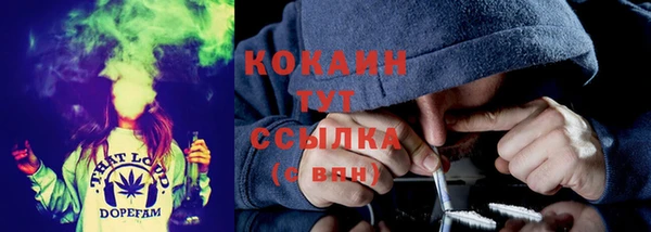 прущий лед Краснослободск
